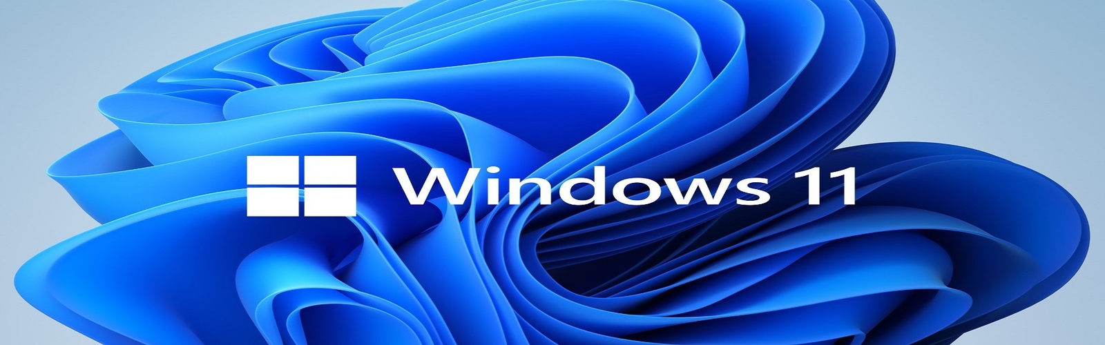 logiciels de Microsoft Windows